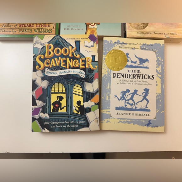 Young reader chapter book bundle - Picture 5 of 9